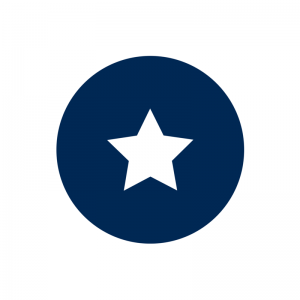 Polish icon Wheel_maintenance_polish